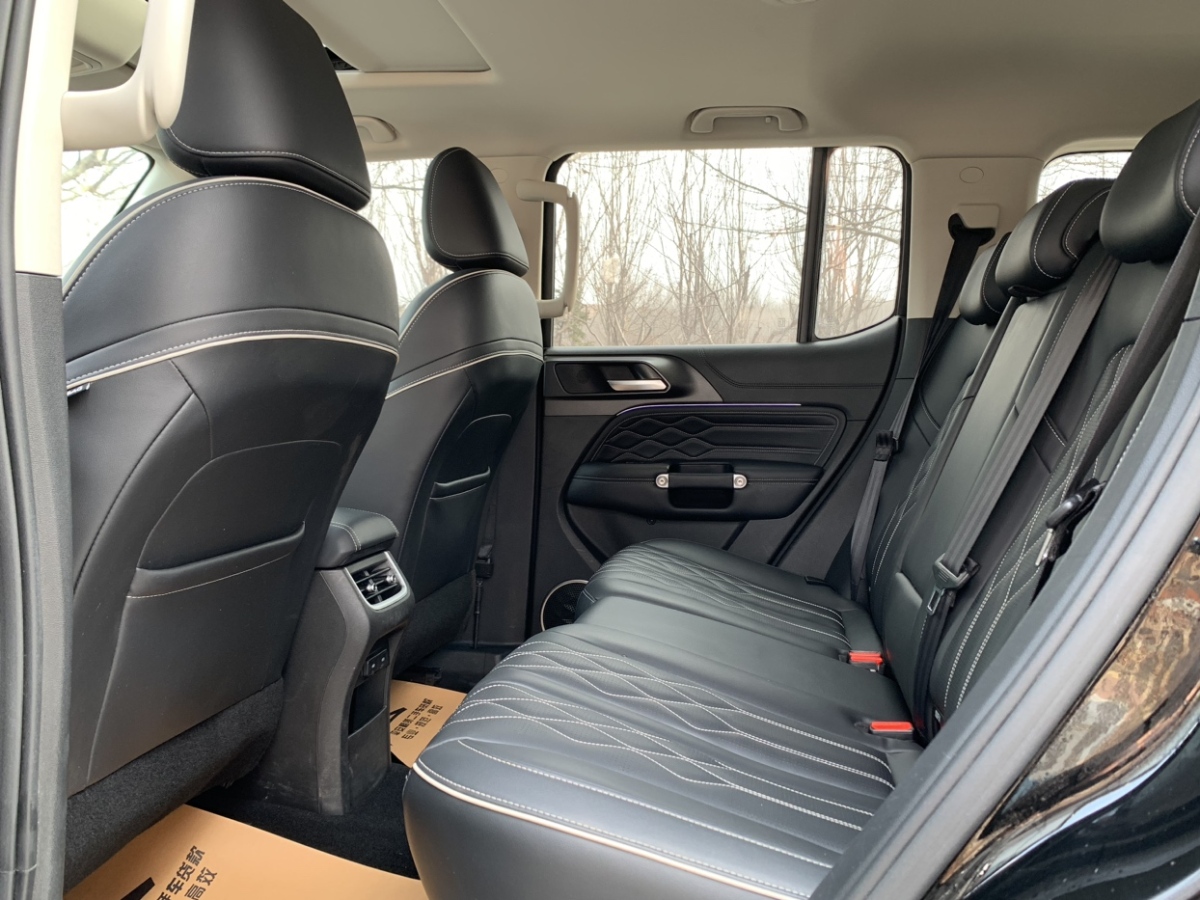 Tank 300 2021 car image #7