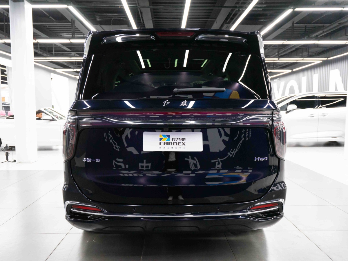 HongQi HQ9 2023 immagine di auto #7