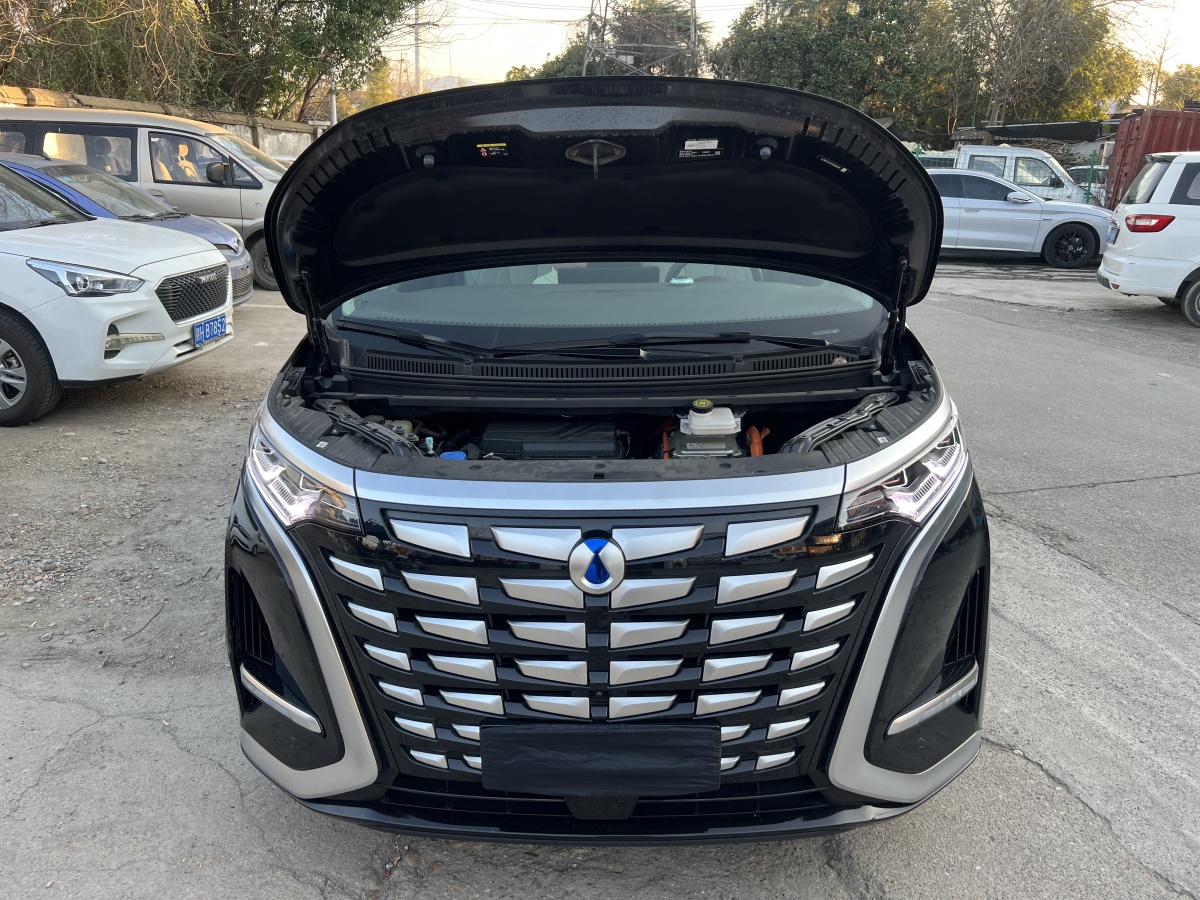 Denza D9 2023 image de voiture #7