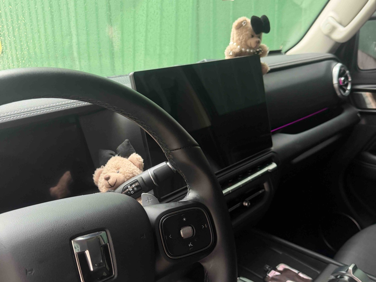 Tank 300 New Energy 2025 car image #7