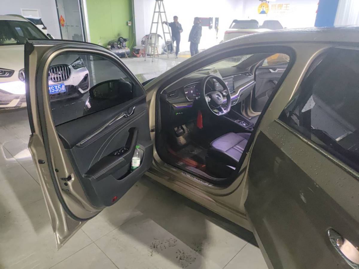 Skoda Octavia 2021 imagem de carro #7