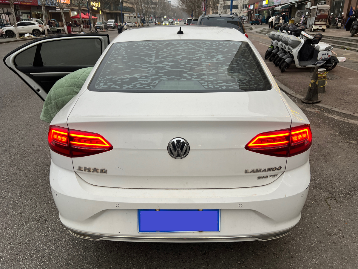 Volkswagen Lamando 2019 car image #7