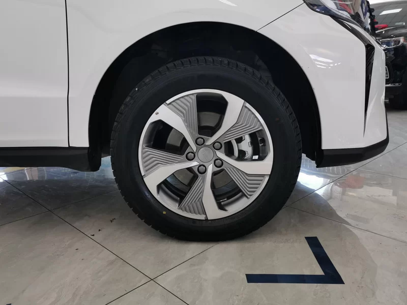 GEELY OkavangoPRO 2024 car image #7