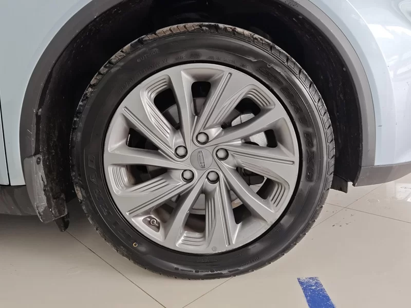 GEELY JiaJi 2020 car image #7