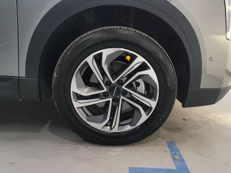 Haval Fierce Dragon 2023 car image #7