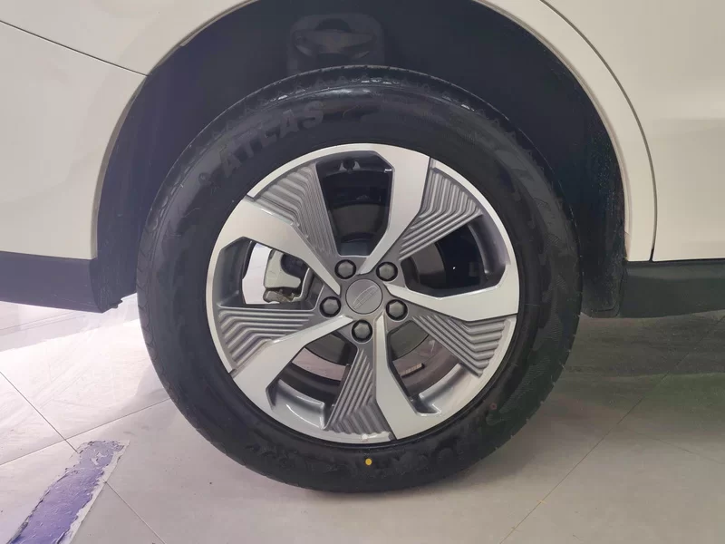 GEELY OkavangoPRO 2024 car image #7