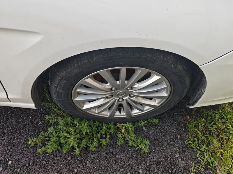 Great Wall C50 2015 car image #7