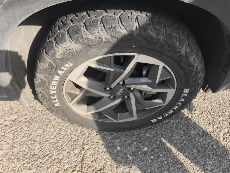 Hyundai Palisade 2021 #7 Hyundai Palisade 2021 car image #7