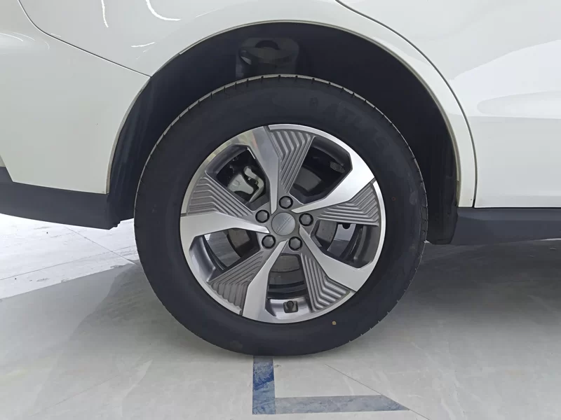 GEELY OkavangoPRO 2024 car image #7