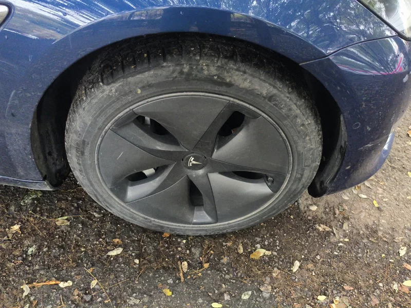 特斯拉 Model 3(进口) 2019 汽车图片 #7