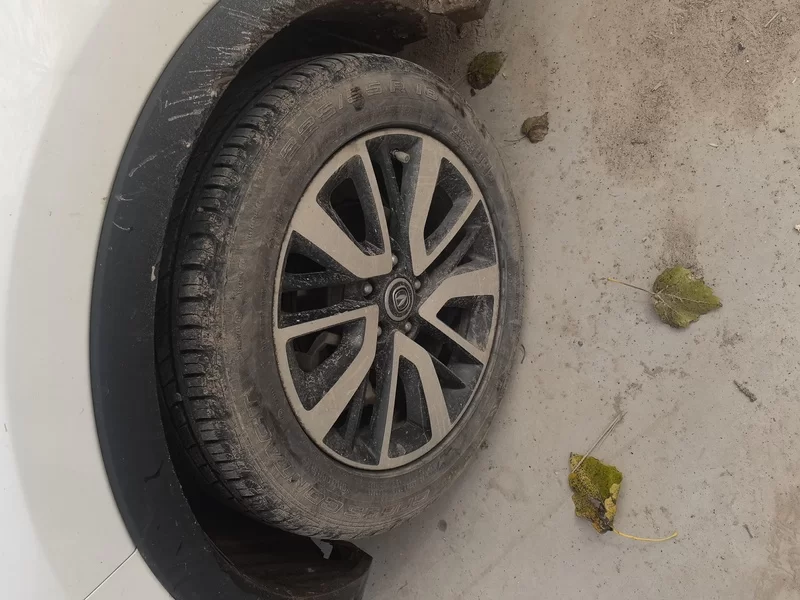 Changan CS55 2018 car image #7