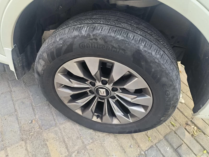 Tank 500 2023 car image #7