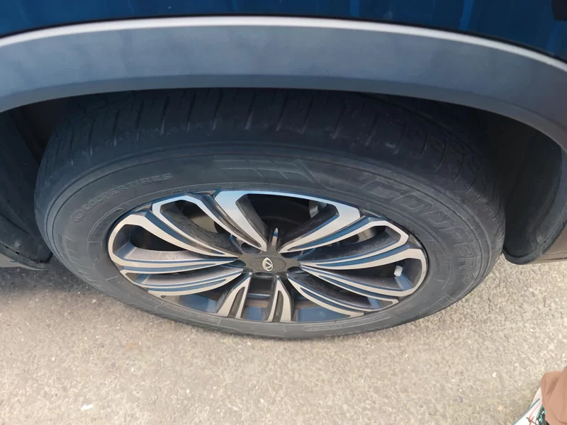 Chery Tiggo 8 Plus e+ 2022 car image #7