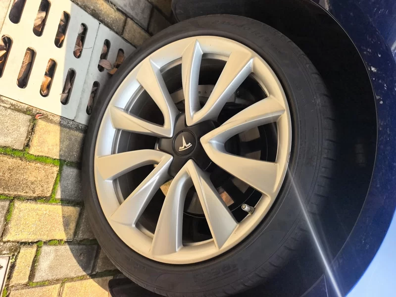 特斯拉 Model 3(进口) 2019 汽车图片 #7