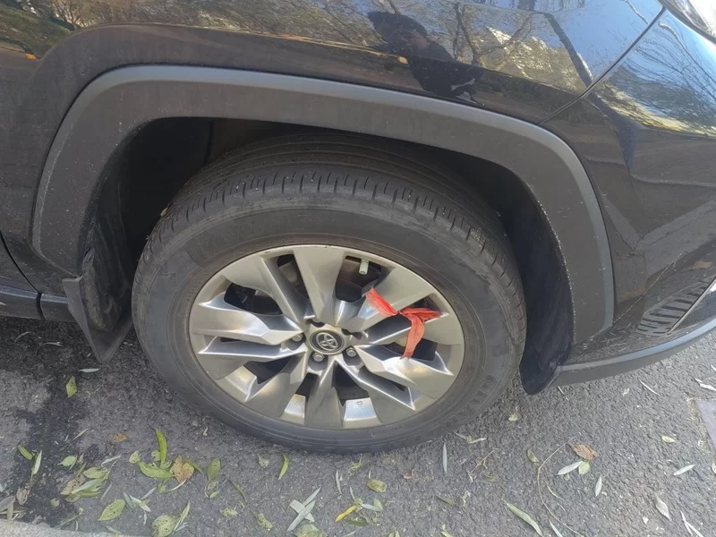 Toyota Wildlander 2021 imagem de carro #7