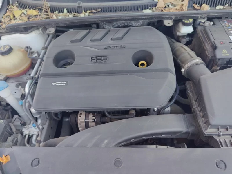 GEELY Binray 2021 car image #7