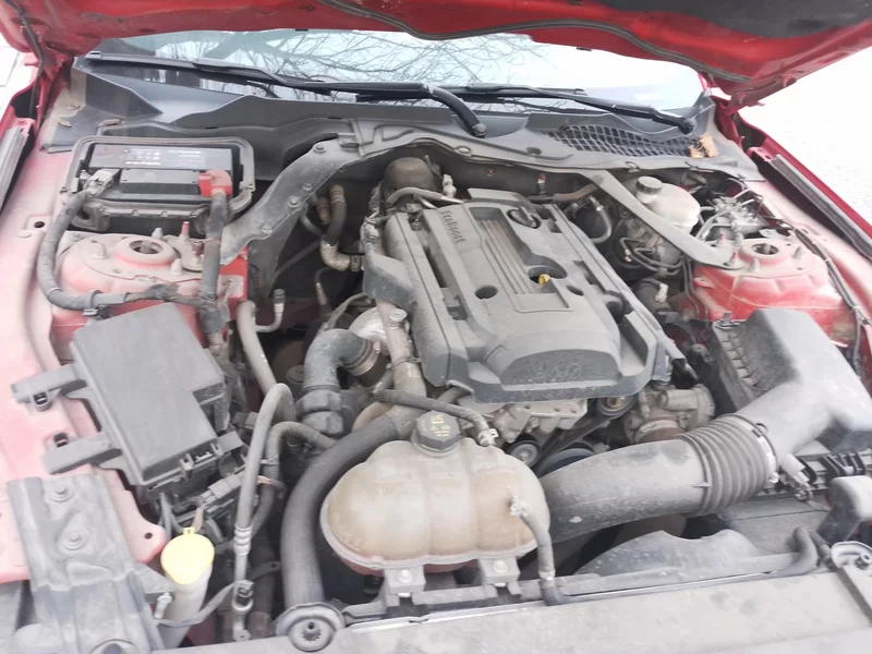 Ford 2015 #7 Ford 2015 car image #7