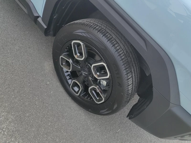 Haval Dargo 2023 car image #7