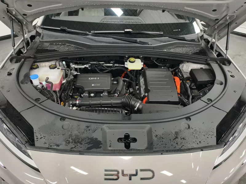 BYD Song Plus New Energy 2025 immagine di auto #7