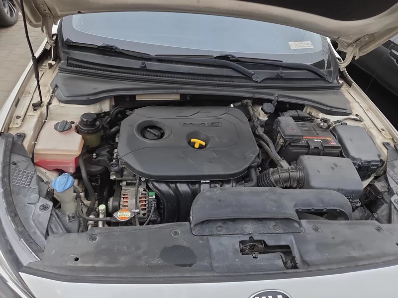 起亚 起亚K4 2015 汽车图片 #7