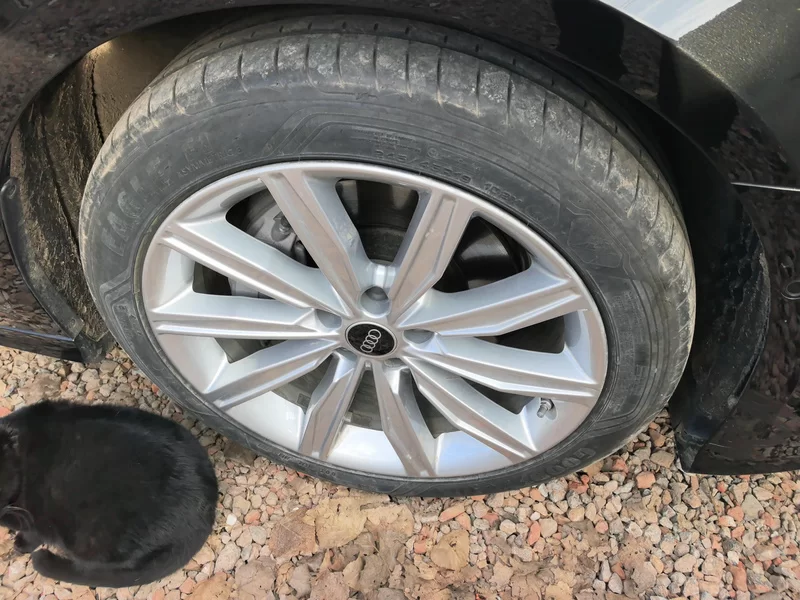 Audi A6L 2023 immagine di auto #7