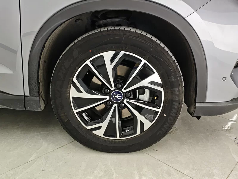 BYD Song Pro New Energy 2025 car image #7