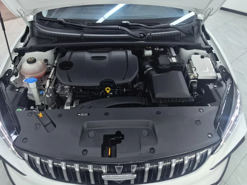 GEELY Binray 2024 #7 GEELY Binray 2024 car image #7