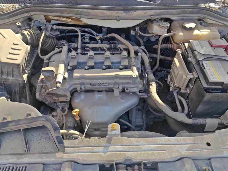 Chevrolet Cavalier 2018 #7 Chevrolet Cavalier 2018 immagine di auto #7