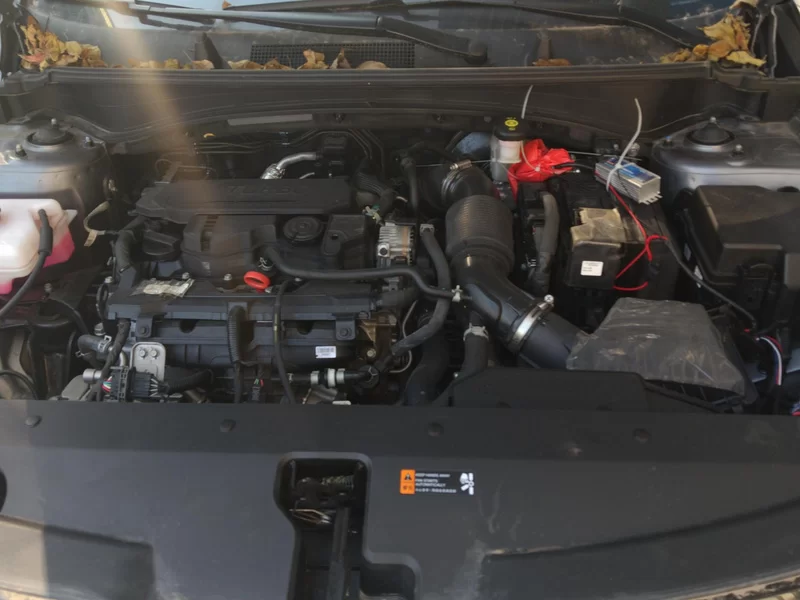 起亚 狮铂拓界 2024 汽车图片 #7