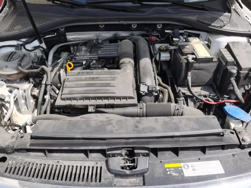 Volkswagen Lamando 2019 immagine di auto #7