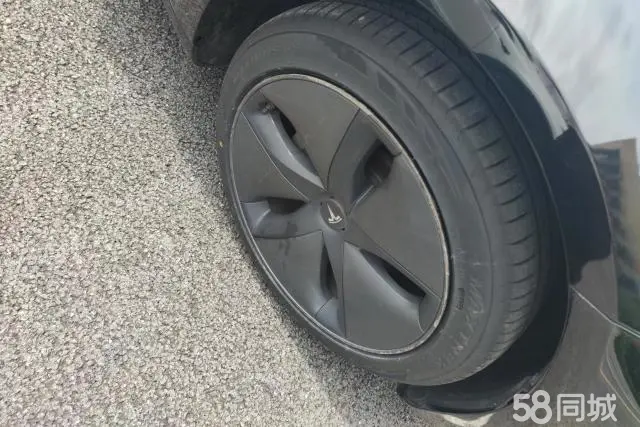 特斯拉 Model 3(进口) 2019 汽车图片 #7