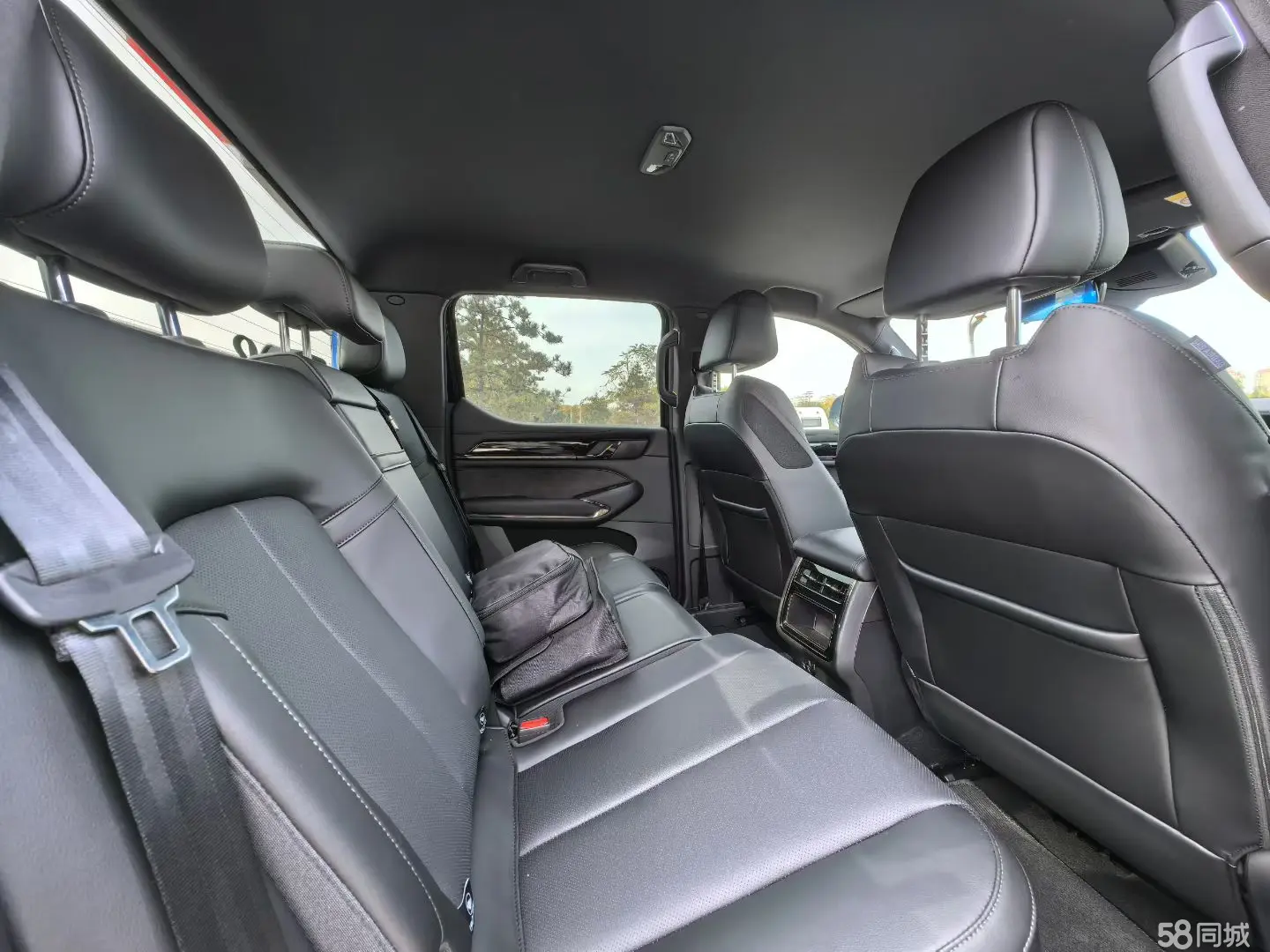 Great Wall Shanhai Pao Hi4-T 2025 car image #7