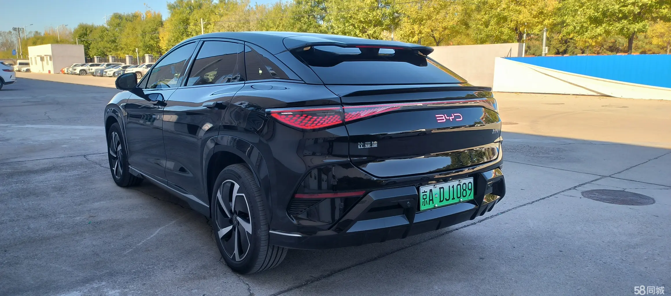 BYD Sea Lion 07 EV 2024 car image #7