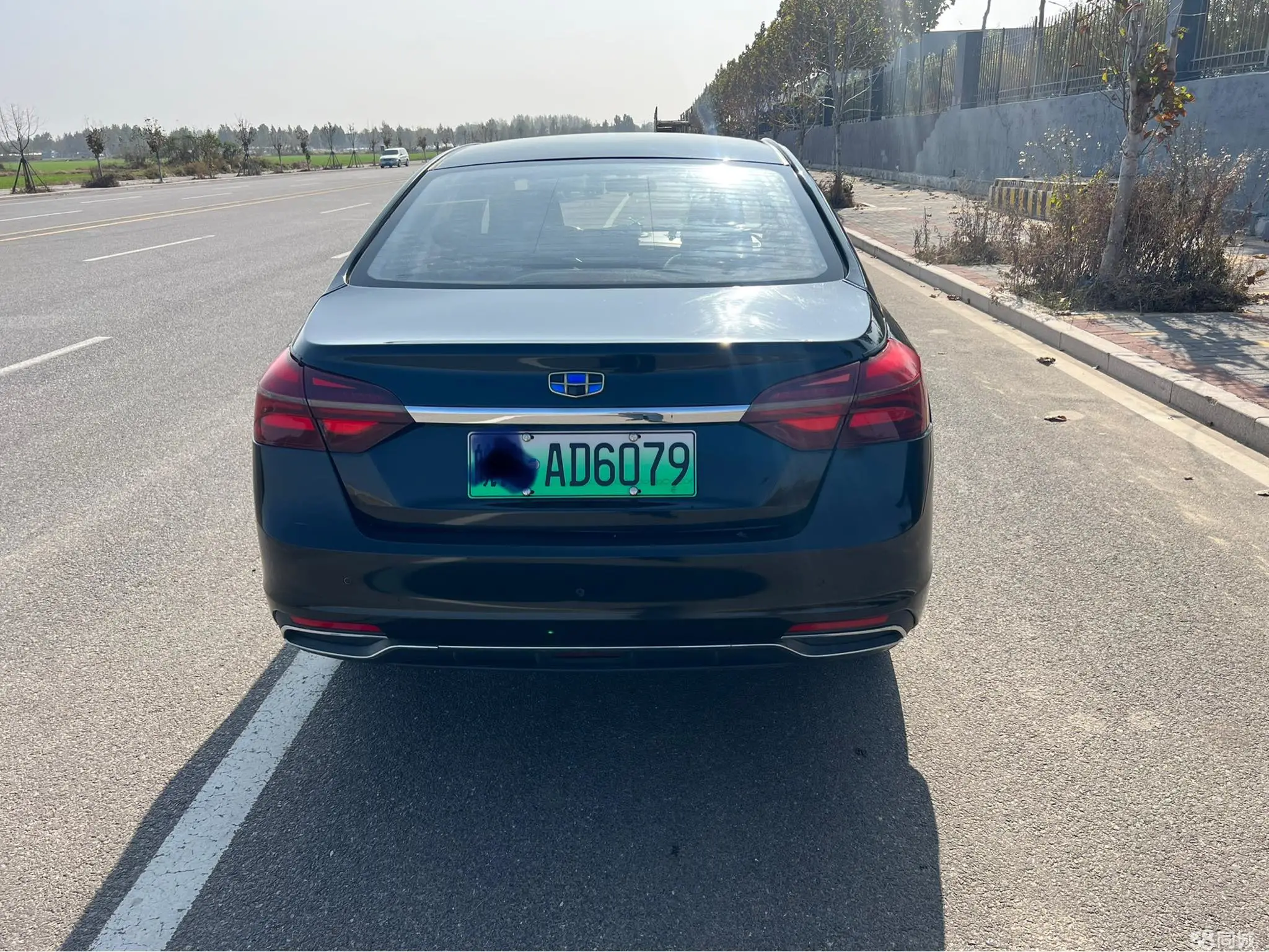 GEELY Emgrand New Energy 2018 car image #7