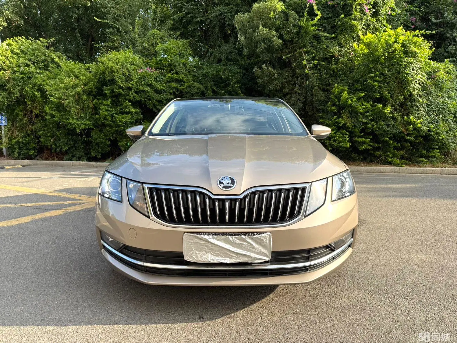 Skoda Octavia 2019 immagine di auto #7