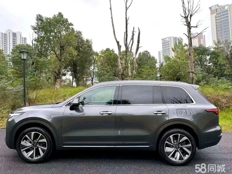 Li One 2021 imagen de coche #7