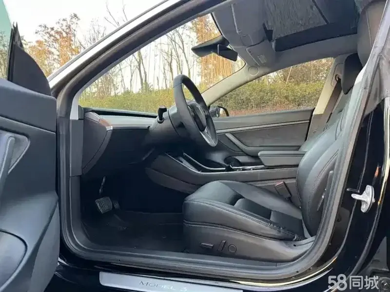 Tesla Model 3 2020 car image #7