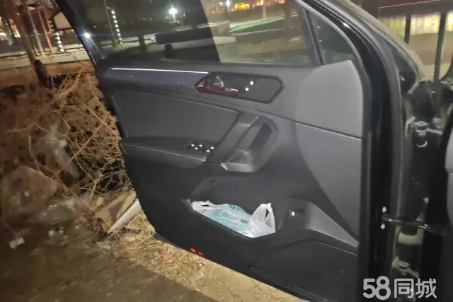 Volkswagen Tiguan L New Energy 2020 изображение автомобиля #7