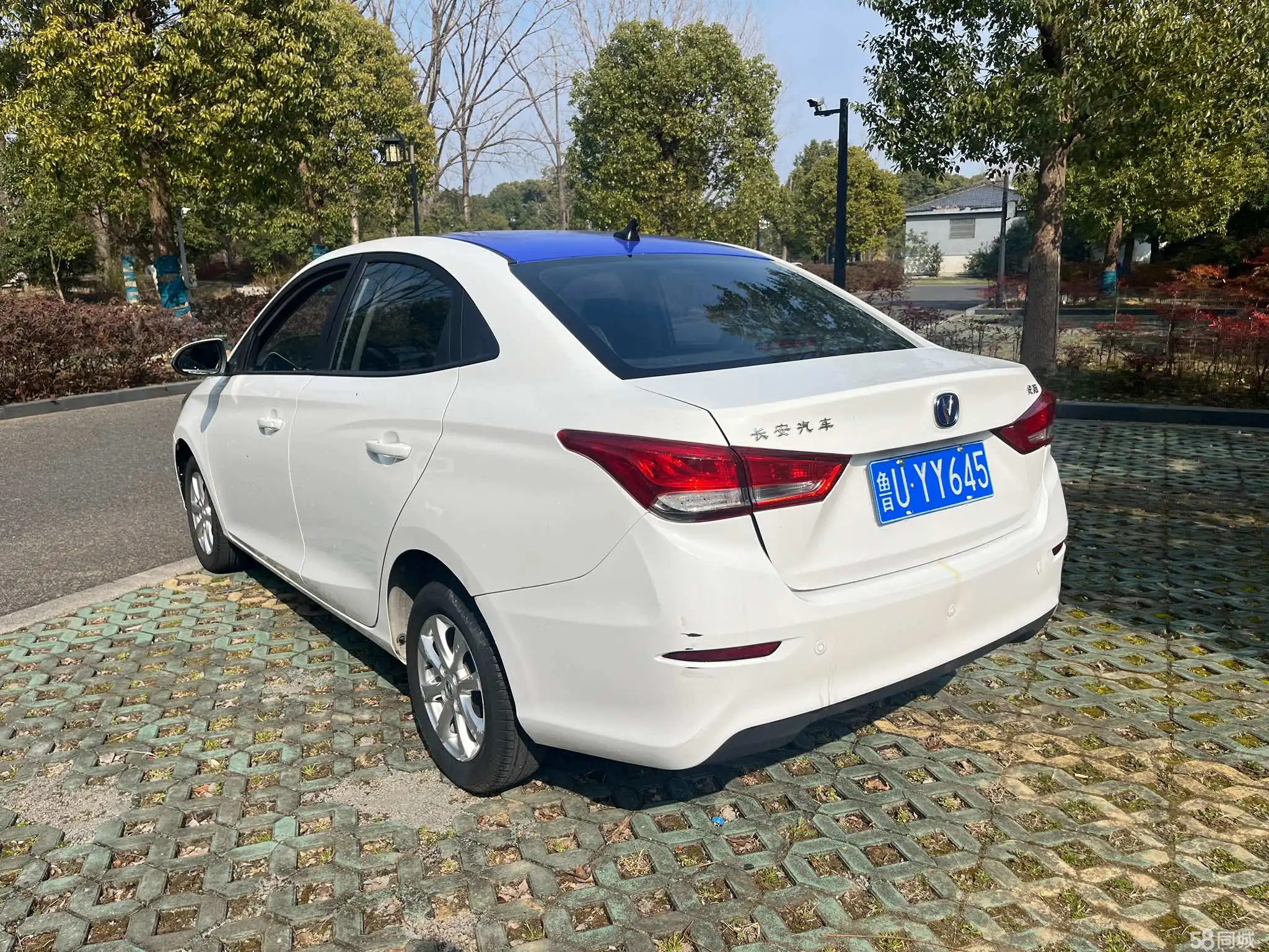 Changan Alsvin 2020 immagine di auto #7