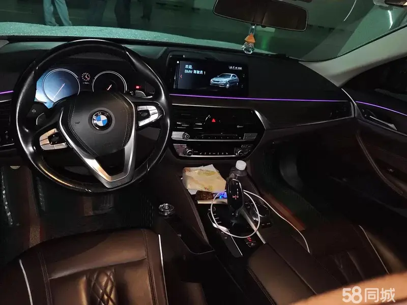 BMW 5 Series 2018 car image #7