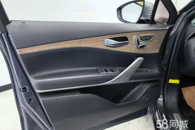 Denza X 2021 car image #7