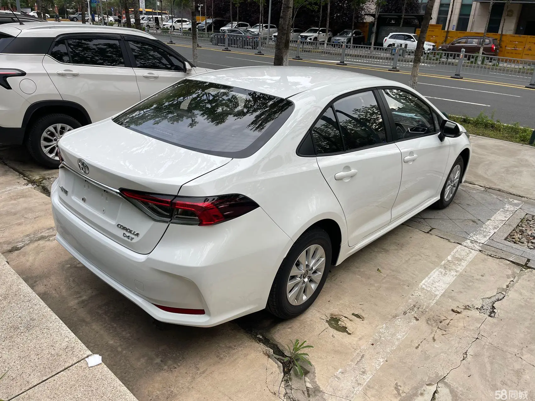 丰田 卡罗拉 2024 汽车图片 #7