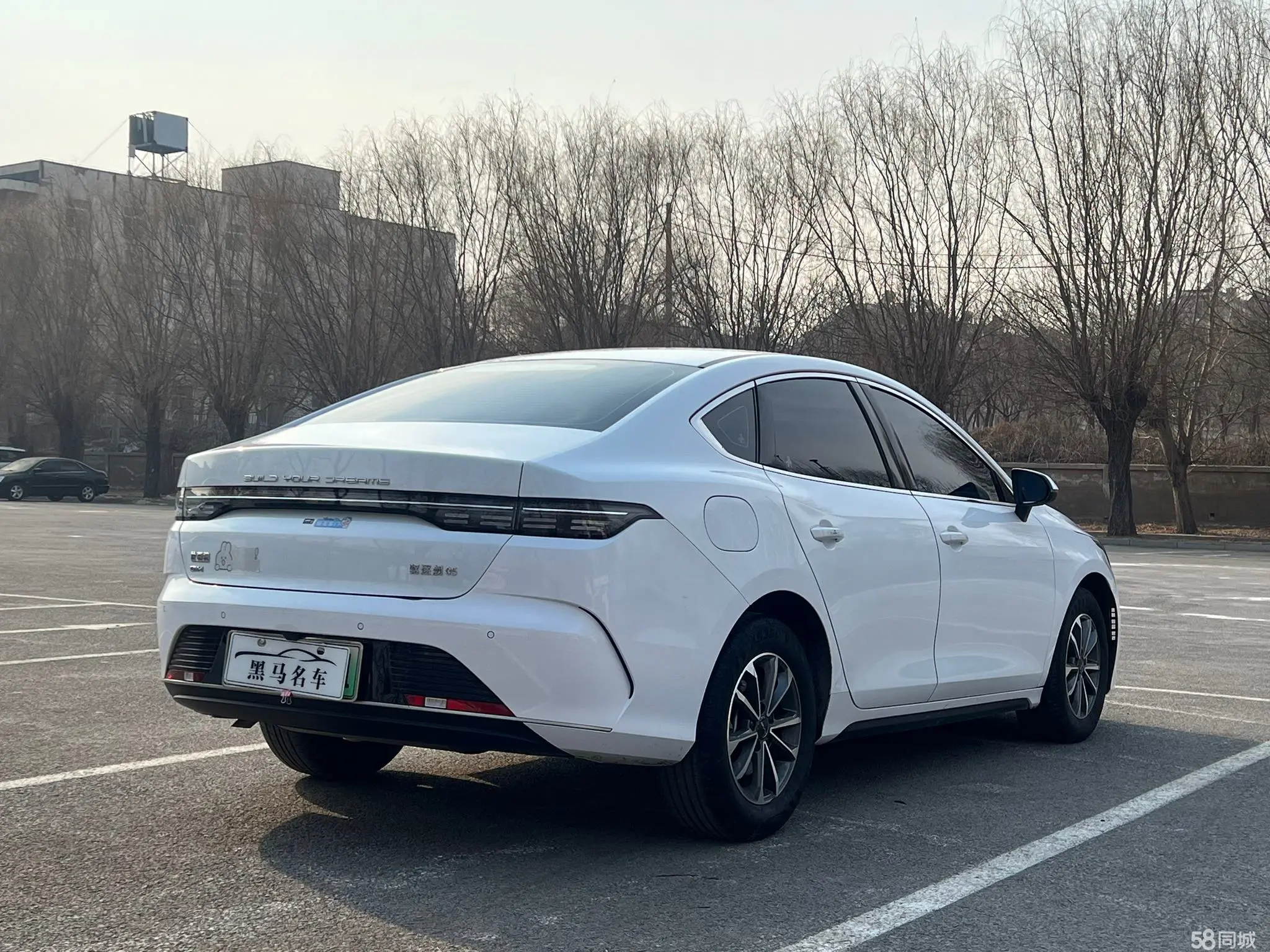 BYD Destroyer 05 2025 imagen de coche #7