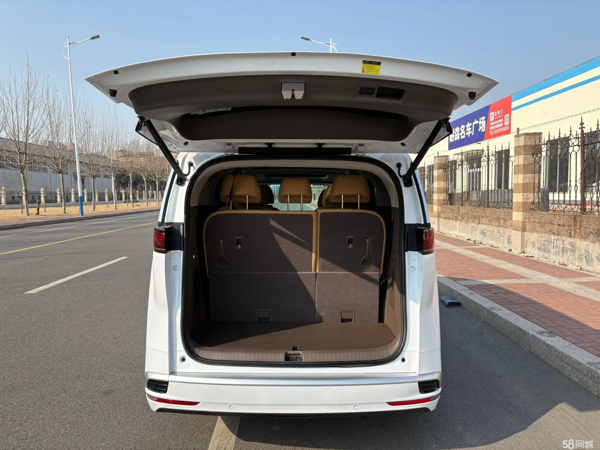 Denza D9 2023 image de voiture #7