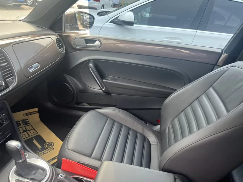 大众 甲壳虫 2016 汽车图片 #7