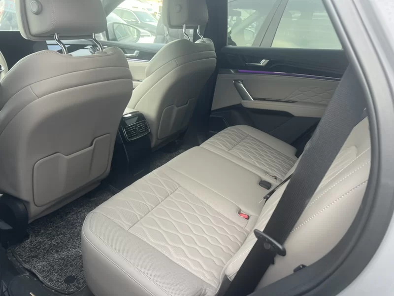 BYD Tang New Energy 2025 car image #7