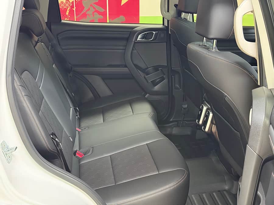 Haval X Dog / Dargo 2024 immagine di auto #52