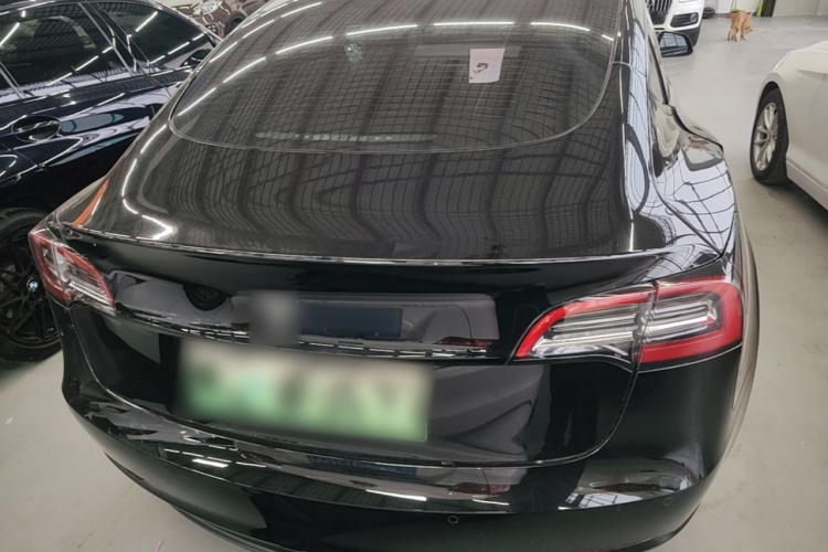 Tesla Model 3 2021 immagine di auto #6