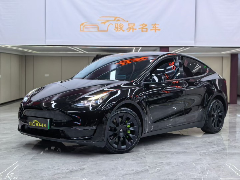 Tesla Model Y 2021 car image 