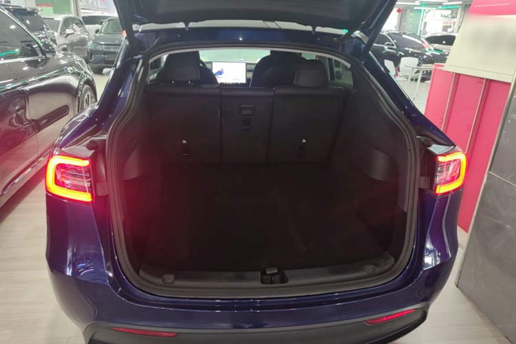 Tesla Model Y 2021 #21 Tesla Model Y 2021 car image #21